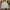 Bershka Streetwear Y2K Denim jacket Pria multicolor photo 1