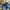 Levi's Vintage Casual Jeans Pria blue photo 3