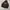 GAP Vintage Casual Hoody Pria brown photo 2