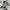 Luxury Sportswear Puffer jacket Pria white photo 5