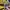 Champion Streetwear Y2K Windbreaker Pria multicolor photo 8