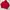 Stussy Streetwear Skater Hoody Pria red photo 2