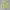 Stussy Streetwear Skater Hoody Pria green photo 1