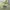 Stussy Streetwear Skater Hoody Pria green photo 3