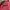 Pink House Streetwear Y2K Denim jacket Pria multicolor photo 8