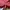 Pink House Streetwear Y2K Denim jacket Pria multicolor photo 6