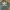 Adidas Streetwear Sportswear Sweater Pria green photo 1