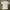 Hurley Casual Polo shirt Pria white photo 1