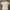 Hurley Casual Polo Shirt Pria White