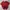 FUBU Streetwear Y2K T-shirt Pria Red