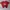 DC Shoes Vintage Y2K T-shirt Pria red photo 1