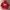 School Of Hard Knocks Y2K Hoody Pria red photo 1