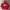 School Of Hard Knocks Y2K Hoody Pria Red