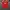 Adidas Streetwear Sportswear Jersey Pria red photo 1