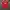 Adidas Streetwear Sportswear Jersey Pria Red