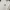MLB Streetwear Luxury Sweater Pria cream photo 2