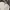 MLB Streetwear Luxury Sweater Pria cream photo 5