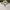 MLB Streetwear Luxury Sweater Pria cream photo 3