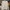 Puma Streetwear Casual Sweater Pria cream photo 1