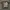 Vintage Y2K T-shirt Pria gray photo 2