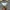 Calvin Klein Luxury Minimalist Sweater Pria gray photo 3