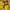 L.L.Bean Fleece Pria yellow photo 2