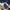 WHO.A.U Casual Sweatshirt Pria white navy photo 5