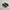 Nike Casual Sneakers Pria green black photo 1