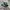 Adidas Casual Sneakers Wanita green pink photo 1