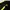 The North Face Y2K Sportswear T-shirt Pria black photo 3