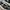New Balance Casual Sneakers Pria black gray photo 2