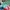 Nike Streetwear Luxury Sneakers Wanita multicolor photo 1