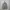 Alpha Industries Streetwear Casual Parka Pria green photo 1