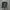 Alpha Industries Streetwear Casual Parka Pria green photo 6