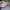 Nike Sportswear Casual Sneakers Wanita multicolor photo 1
