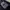 Tommy Hilfiger Vintage Trench coat Pria navy photo 3