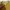 Erigo Casual Sweater Pria multicolor yellow photo 2