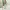 Muslim Maxi dress Wanita green photo 1
