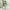 Muslim Maxi Dress Wanita Green