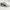 Puma Sportswear Casual Sneakers Pria white gray photo 1