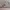 Dior Luxury Minimalist Shoulder bag Wanita blue gray photo 3