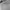 Avirex Minimalist Sweatshirt Pria gray photo 4
