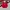 GAP Streetwear Y2K Pria White Red