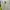 Avant Garde Sweater Wanita white photo 2
