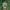 Vintage Streetwear Hat Pria green white photo 1