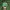 Vintage Streetwear Hat Pria Green White