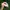 Vintage Streetwear Hat Pria green white photo 2