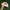 Vintage Streetwear Hat Pria Green White