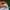 Vintage Streetwear Hat Pria green white photo 3