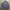 Polo Ralph Lauren Luxury Formal Shirt Pria Blue